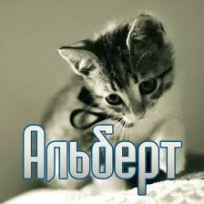 Красивые открытки с именем Альберт. Открытки с днем рождения Альберт.