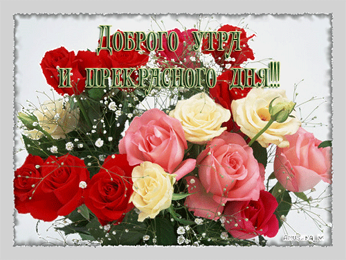 Открытки с пожеланиями хорошего дня. Скачать бесплатно открытки удачного дня.
