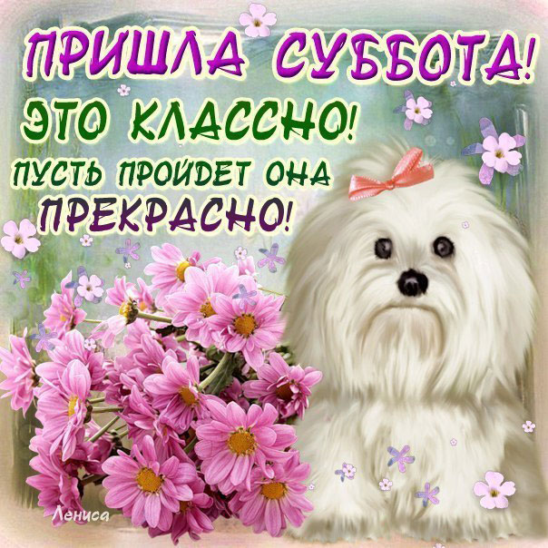 Интересные открытки на субботу. Веселые открытки на выходные.