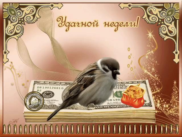 Забавные открытки с пожеланиями удачной недели. Открытки удачной недели скача...