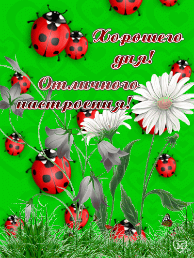 Открытки с пожеланиями хорошего дня. Скачать бесплатно открытки удачного дня.