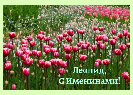 С днём рождения Леонид открытки. Открытки с именем Лёня скачать бесплатно.