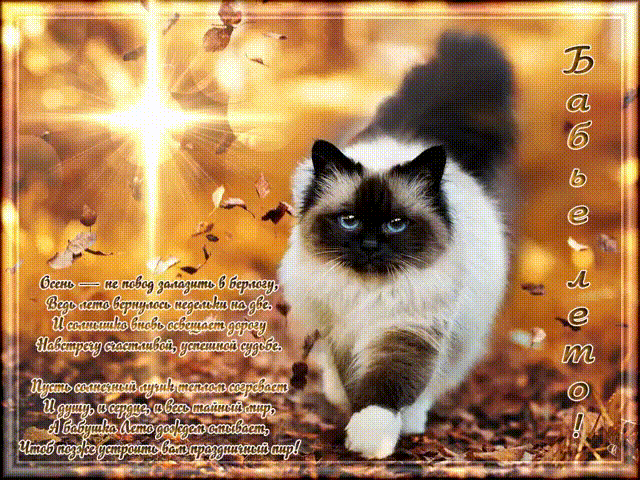 Поздравительные открытки с Бабьим Летом. Анимационные открытки на Бабье Лето. 