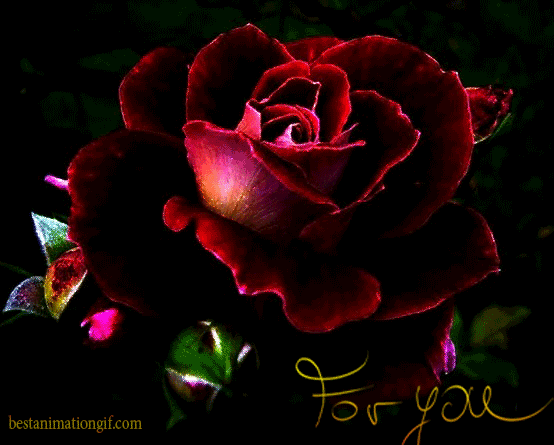 Красивые открытки для тебя скачать бесплатно. Анимационные открытки тебе gif