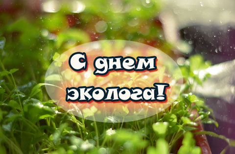 Открытки с днем эколога скачать бесплатно. Открытки на Всемирный день защиты ...