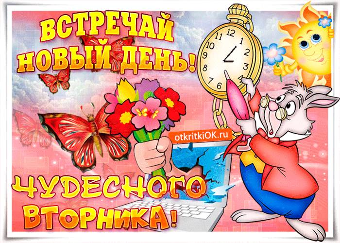 Позитивные открытки на вторник. Картинки про вторник скачать бесплатно.