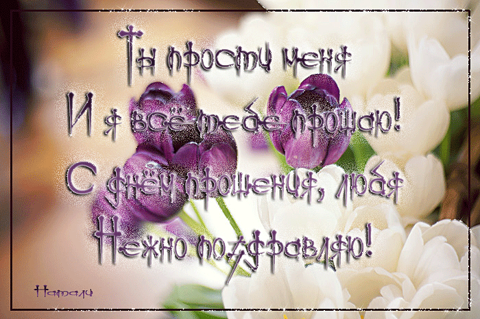 Красивые открытки с извинениями скачать бесплатно. Открытки прости меня gif.