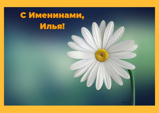 Поздравительные открытки с мужскими именами. С днём рождения Илюша открытки. ...