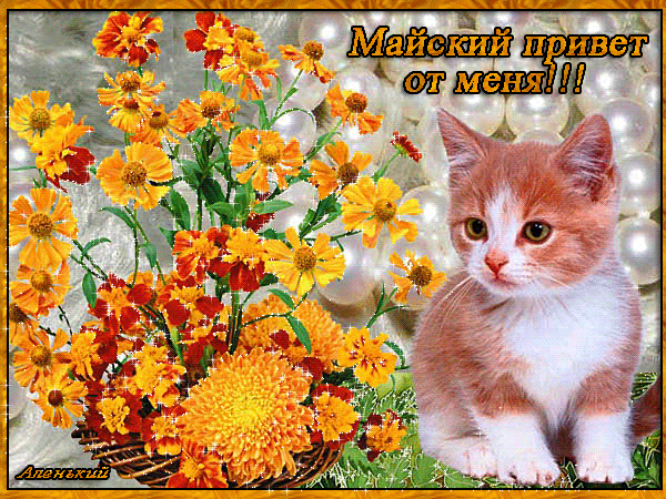 Красивые анимационные открытки с различными приветствиями скачать бесплатно.