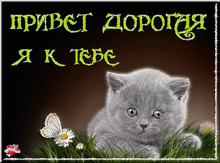 Красивые анимационные открытки с различными приветствиями скачать бесплатно.