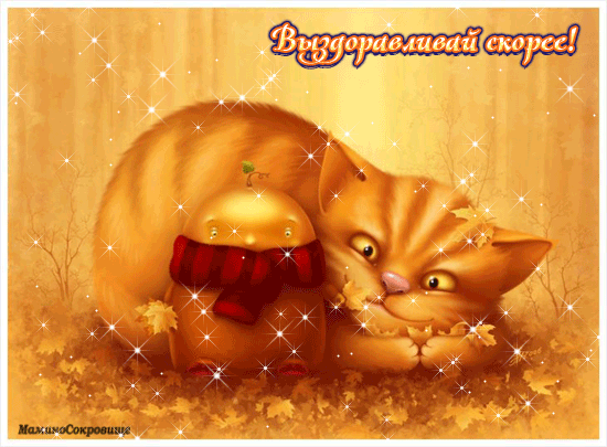 Открытки скорейшего выздоровления скачать бесплатно в формате gif.