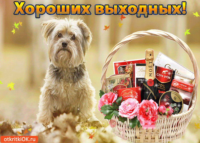 Красивые открытки замечательных выходных. Открытки хороших выходных скачать б...