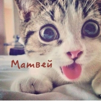 Открытки с именем Матвей gif. Открытки с именем Матвей с признаниями в любви.