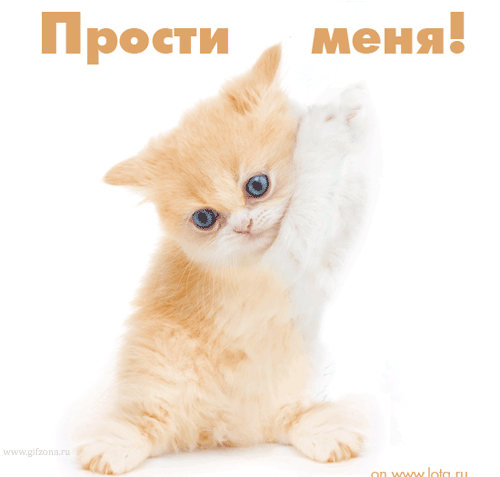 Красивые открытки с извинениями скачать бесплатно. Открытки прости меня gif.