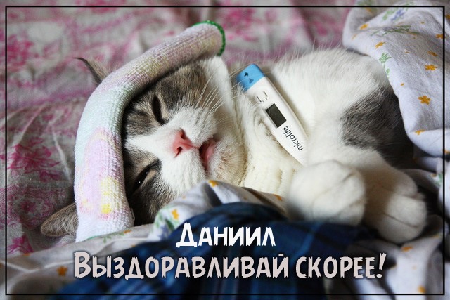 Открытки с именем Даниил gif. Открытки с именем Данил скачать бесплатно.