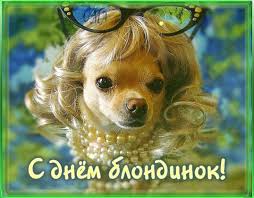 Открытки с Всемирным днем блондинок. Открытки с днем блондинок скачать беспла...