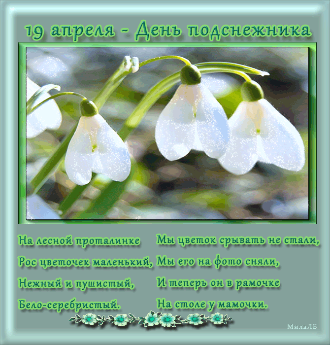 Красивые открытки с днем подснежника. Открытки с днем подснежников скачать бе...