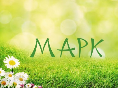 Открытки с именем Марк с признаниями. Открытки с именем Марк скачать бесплатно. 