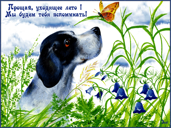 Открытки с последним днем лета скачать бесплатно. Открытки прощай лето.