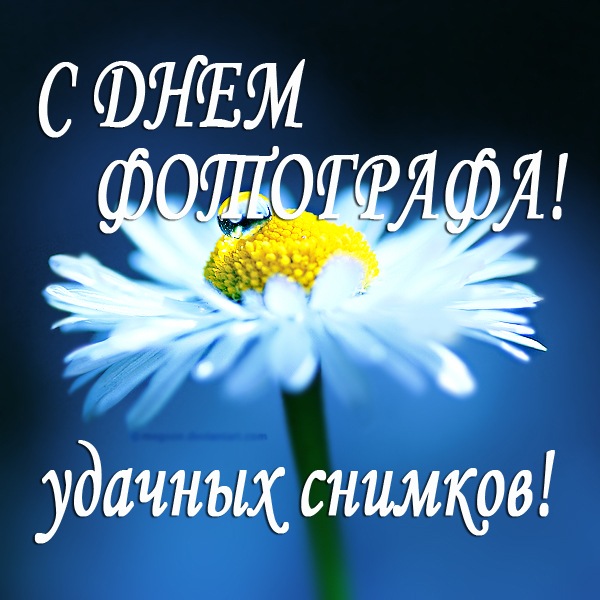 Поздравительные открытки с днем фотографа скачать бесплатно.