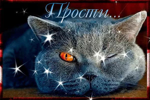 Красивые открытки с извинениями скачать бесплатно. Открытки прости меня gif.