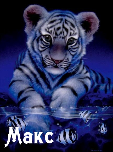 Открытки с именем Максим скачать бесплатно. Открытки с днём рождения Максим. ...