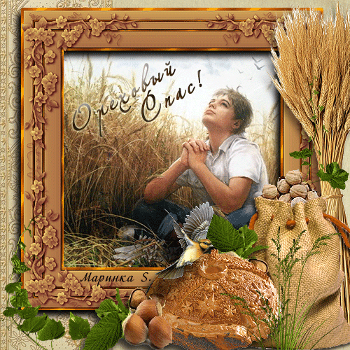 Оригинальные открытки с поздравлениями на Ореховый Спас скачать бесплатно.