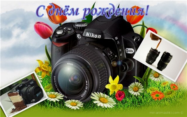 Поздравительные открытки с днем фотографа скачать бесплатно.