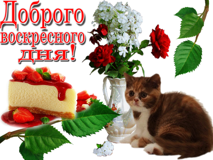 Мерцающие открытки про воскресенье. Открытки на воскресное утро.