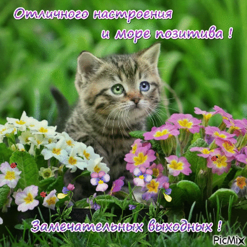 Красивые открытки замечательных выходных. Открытки хороших выходных скачать б...