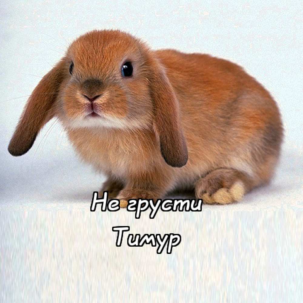 Открытки с именем Тима. С днём рождения Тимур открытки. Поздравительные Откры...