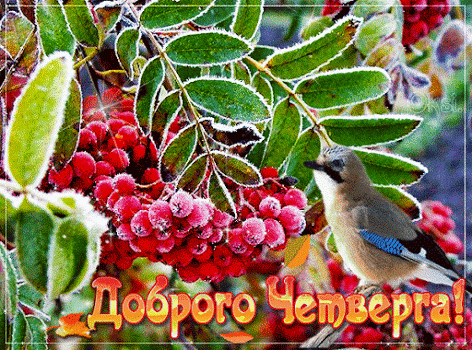 Анимационные открытки доброго утра и отличного четверга скачать бесплатно.