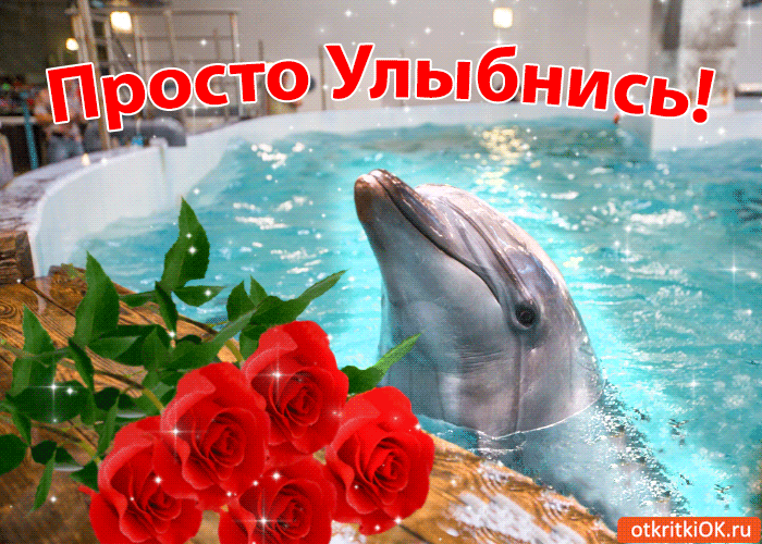 Весёлые открытки с пожеланиями улыбнись. Открытки с улыбкой скачать бесплатно.