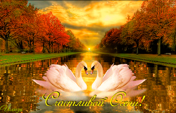 Оригинальные открытки с изображением осени. Открытки осень скачать бесплатно.