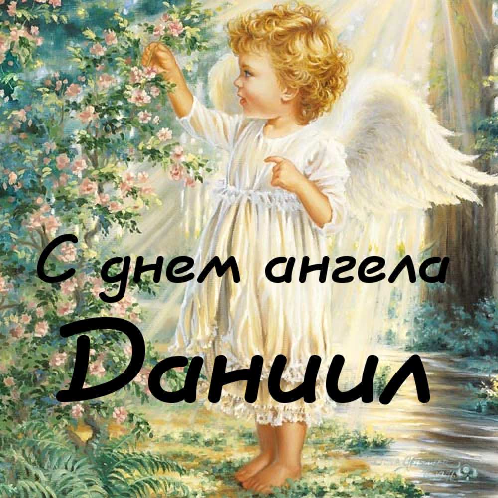Открытки с именем Даниил gif. Открытки с именем Данил скачать бесплатно.