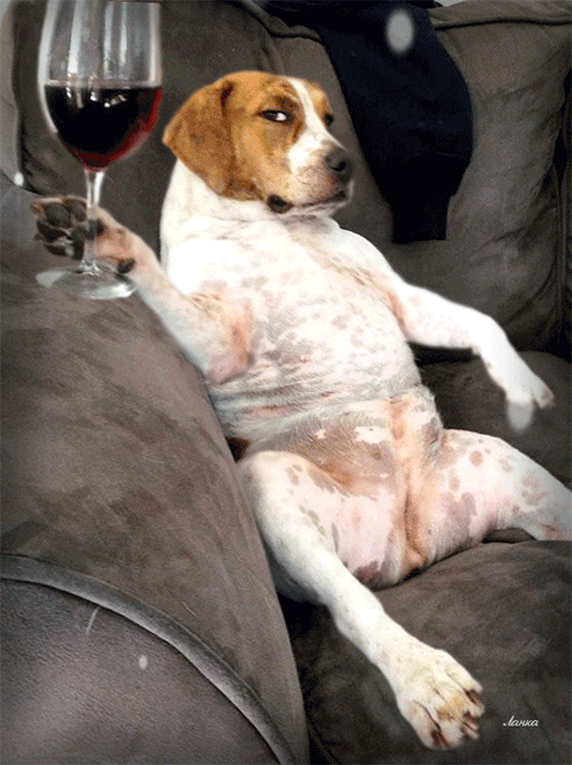 Прикольные открытки на пятницу. Открытки с пожеланиями на пятницу скачать бес...