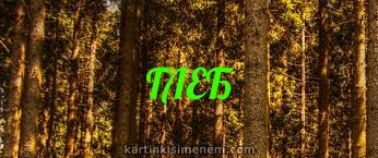 Анимационные открытки с именем Глеб. Открытки с днём рождения Глеб.