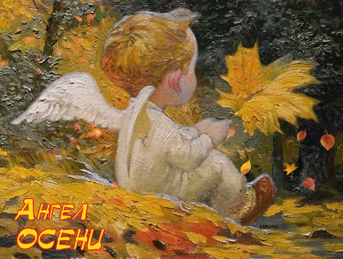 Оригинальные открытки с изображением осени. Открытки осень скачать бесплатно.