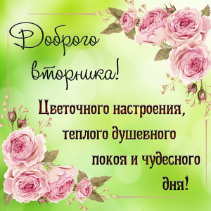 Позитивные открытки на вторник. Картинки про вторник скачать бесплатно.