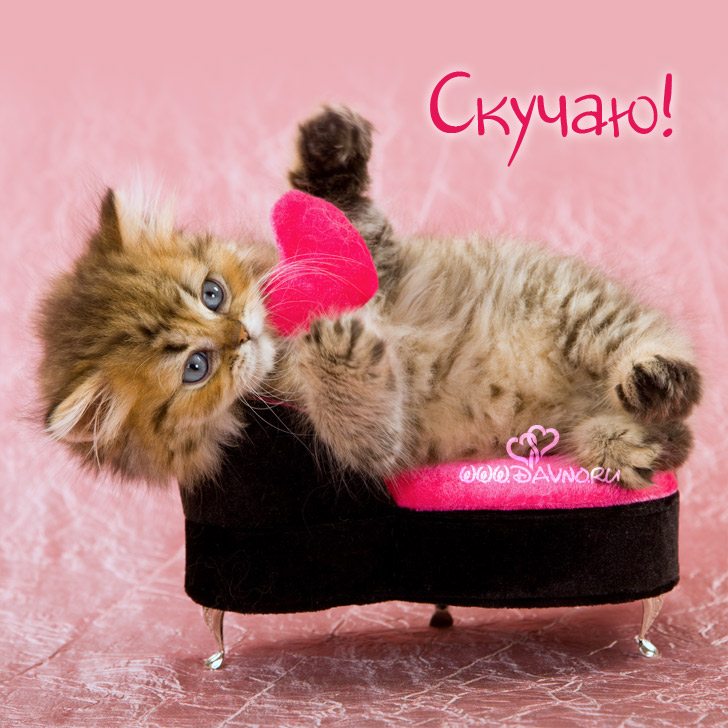 Анимационные открытки скучаю по тебе. Открытки я так скучаю скачать бесплатно.