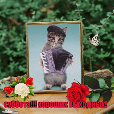 Интересные открытки на субботу. Веселые открытки на выходные.