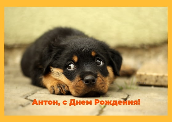 Открытки с именем Антон скачать бесплатно. Поздравительные открытки с именем ...