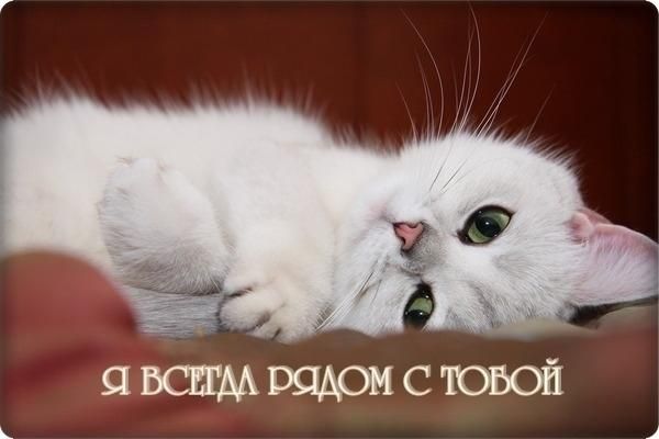 Открытки я всегда буду рядом. Открытки Открытки я рядом с тобой скачать беспл...