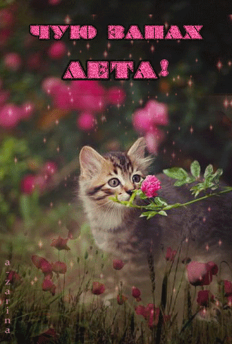 Скачать бесплатно открытки хорошего лета. Открытки с пожеланиями хорошего лета.