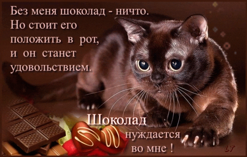 Открытки с днем шоколада скачать бесплатно. Анимационные открытки с днем шоколада.