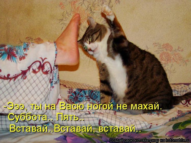 Интересные открытки на субботу. Веселые открытки на выходные.