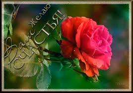 Скачать бесплатно открытки с пожеланиями счастья. Мерцающие открытки желаю сч...