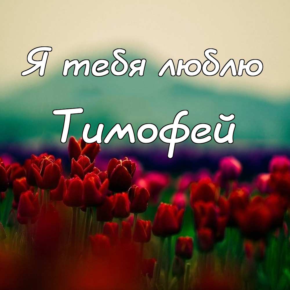 Анимационные открытки с именем Тимофей. Открытки с мужскими именами с поздрав...