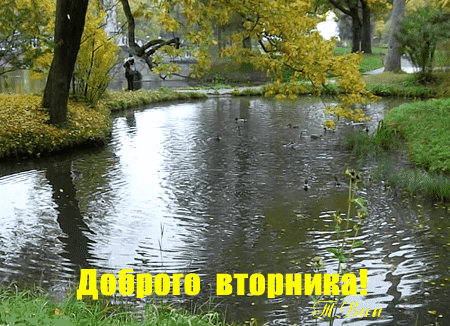 Позитивные открытки на вторник. Картинки про вторник скачать бесплатно.