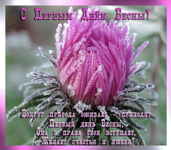 Красивые открытки с первым днем весны. Открытки с первым днем весны скачать бесплатно.